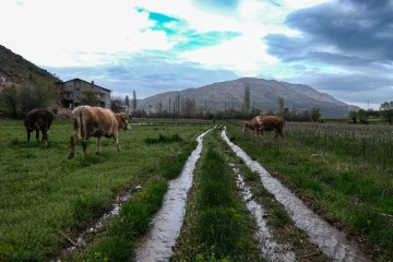 Sulama kanalı depremde yaklaşık 2 metre kaydı