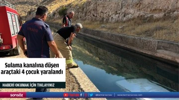 Sulama kanalına d&uuml;şen ara&ccedil;taki 4 &ccedil;ocuk yaralandı