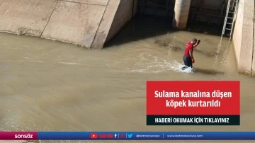 Sulama kanalına d&uuml;şen k&ouml;pek kurtarıldı
