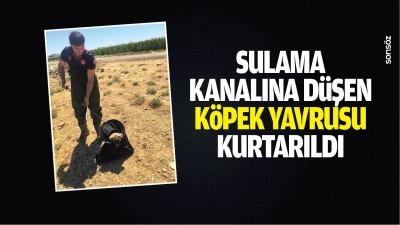 Sulama kanalına d&uuml;şen k&ouml;pek yavrusu kurtarıldı
