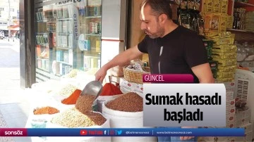 Sumak hasadı başladı