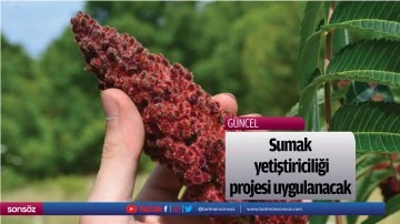 Sumak yetiştiriciliği projesi uygulanacak