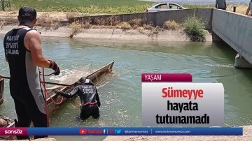 S&uuml;meyye hayata tutunamadı