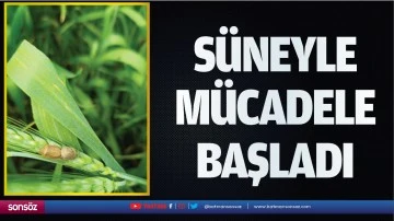 S&uuml;neyle m&uuml;cadele başladı