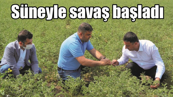 S&Uuml;NEYLE SAVAŞ BAŞLADI