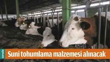 SUNİ TOHUMLAMA MALZEMESİ ALINACAK