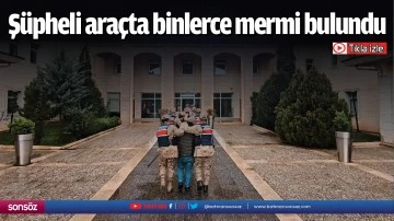 Ş&uuml;pheli ara&ccedil;ta binlerce mermi bulundu
