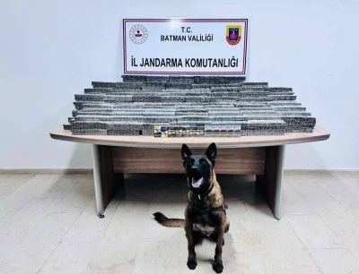 Ş&uuml;pheli ara&ccedil;tan ka&ccedil;ak sigara &ccedil;ıktı!