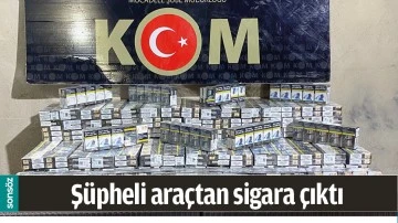 Ş&Uuml;PHELİ ARA&Ccedil;TAN SİGARA &Ccedil;IKTI