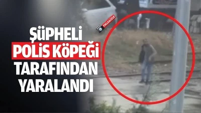 Ş&uuml;pheli polis k&ouml;peği tarafından yaralandı