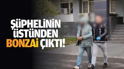 Ş&uuml;phelinin &uuml;st&uuml;nden bonzai &ccedil;ıktı!