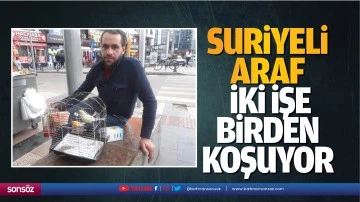 Suriyeli Araf, iki işe birden koşuyor