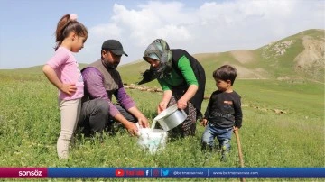 S&uuml;r&uuml; sahibi kadın, m&uuml;şterilerinin s&uuml;t talebine yetişmeye &ccedil;alışıyor