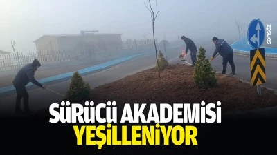 S&uuml;r&uuml;c&uuml; Akademisi yeşilleniyor