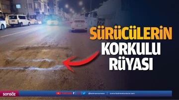S&uuml;r&uuml;c&uuml;lerin korkulu r&uuml;yası