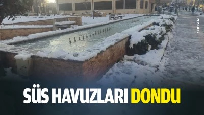 S&uuml;s havuzları dondu