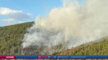 Susurluk il&ccedil;esinde orman yangını başladı