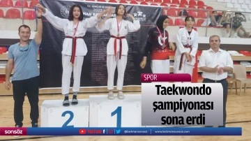 Taekwondo şampiyonası sona erdi