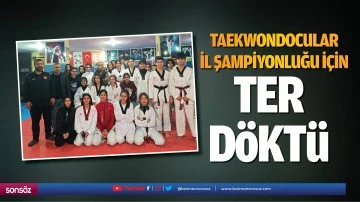 Taekwondocular il şampiyonluğu için ter döktü