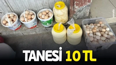 Tanesi 10 TL