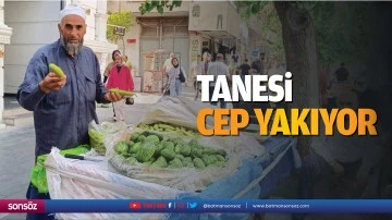 Tanesi cep yakıyor
