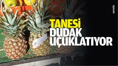 Tanesi dudak u&ccedil;uklatıyor
