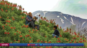 Tanin Dağları'nda ters lale etkinliği d&uuml;zenlendi