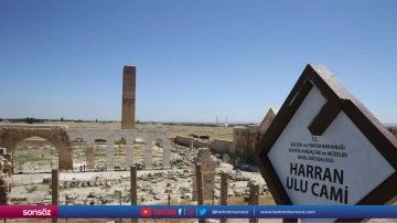 Tarihi Harran Ulu Cami ziyarete a&ccedil;ıldı