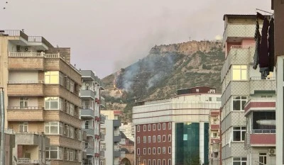 Tarihi kale eteklerinde &ccedil;ıkan &ouml;rt&uuml; yangını kontrol altına alındı