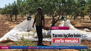 Tarım iş&ccedil;ilerinin zorlu mesaisi