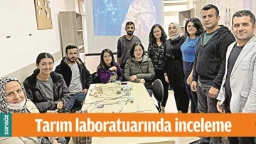 TARIM LABORATUARINDA İNCELEME