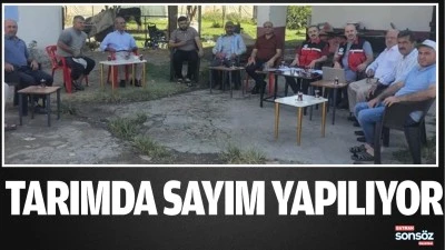 Tarımda sayım yapılıyor