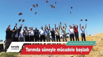 Tarımda s&uuml;neyle m&uuml;cadele başladı