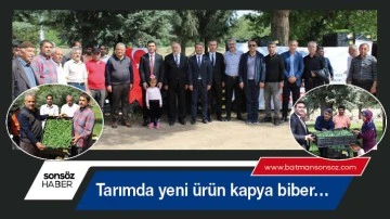 Tarımda yeni &uuml;r&uuml;n kapya biber&hellip;