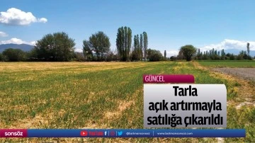 Tarla a&ccedil;ık artırmayla satılığa &ccedil;ıkarıldı