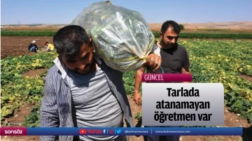 &ldquo;Tarlada atanamayan &ouml;ğretmen var&rdquo;