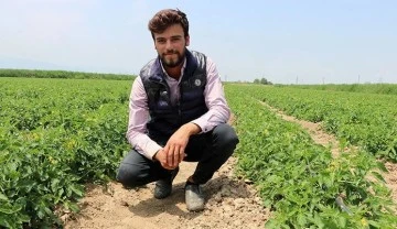 Tarladaki yuvasını korumak isteyen kuşun trakt&ouml;r&uuml; durdurduğu anları g&ouml;r&uuml;nt&uuml;ledi