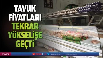 Tavuk fiyatları tekrar y&uuml;kselişe ge&ccedil;ti