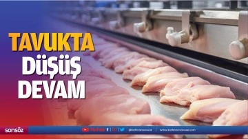 Tavukta d&uuml;ş&uuml;ş devam&hellip;