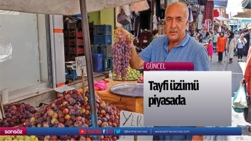 Tayfi &uuml;z&uuml;m&uuml; piyasada