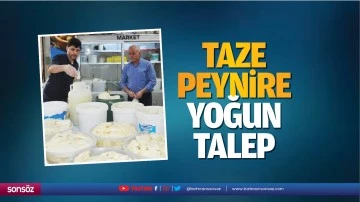 Taze peynire yoğun talep