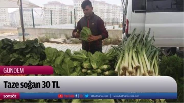 Soğan Fiyatları Don Olayından Artıyor