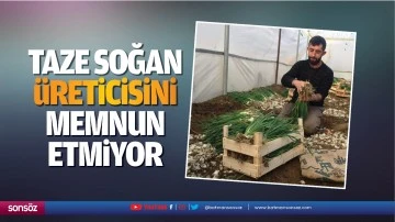 Taze soğan, &uuml;reticisini memnun etmiyor