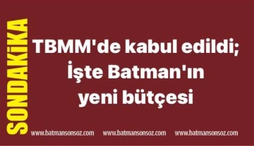 TBMM'de kabul edildi; İşte Batman'ın yeni bütçesi