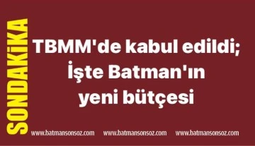 TBMM'de kabul edildi; İşte Batman'ın yeni b&uuml;t&ccedil;esi