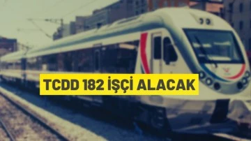 TCDD 182 DAİMİ İŞ&Ccedil;İ ALACAK