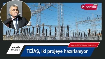 TEİAŞ, iki projeye hazırlanıyor
