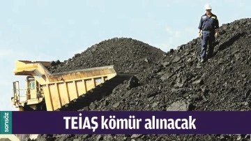 TEİAŞ K&Ouml;M&Uuml;R ALINACAK