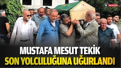 Tekik son yolculuğuna uğurlandı