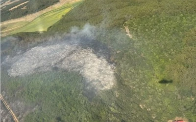 Tekirdağ'da &ccedil;ıkan orman yangını s&ouml;nd&uuml;r&uuml;ld&uuml;